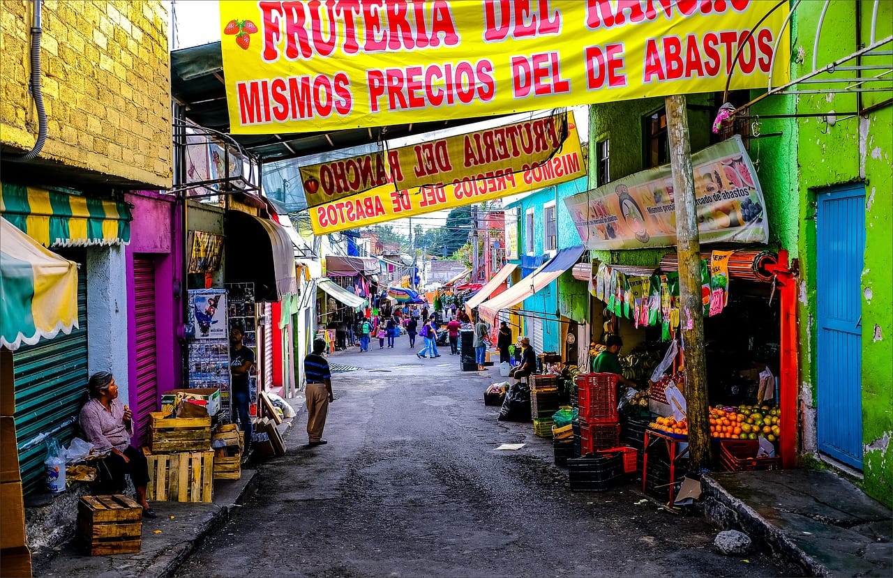 Fruit, chiles and flowers at the Abastos market, the biggest in the city.